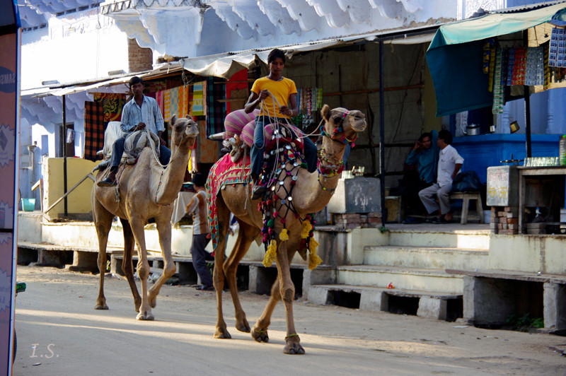 Pushkar