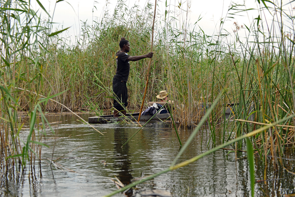 Okavangodelta, unterwegs mit Mokoros