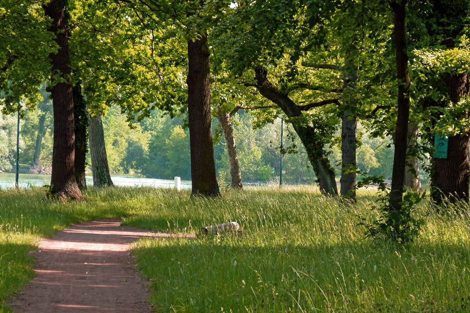 Stadtpark auf der Insel