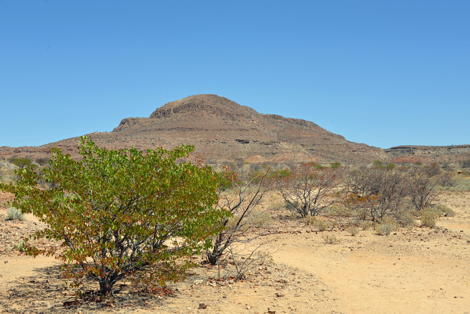 Wüstenlandschaft 