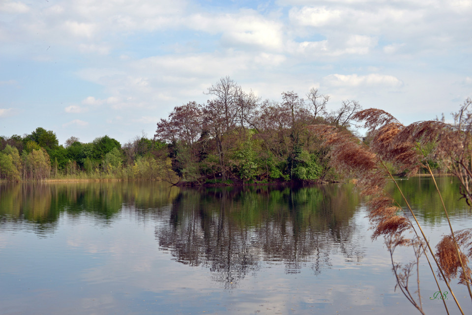 Große Blies,Insel