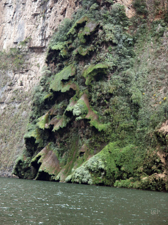 Canon de Sumidero