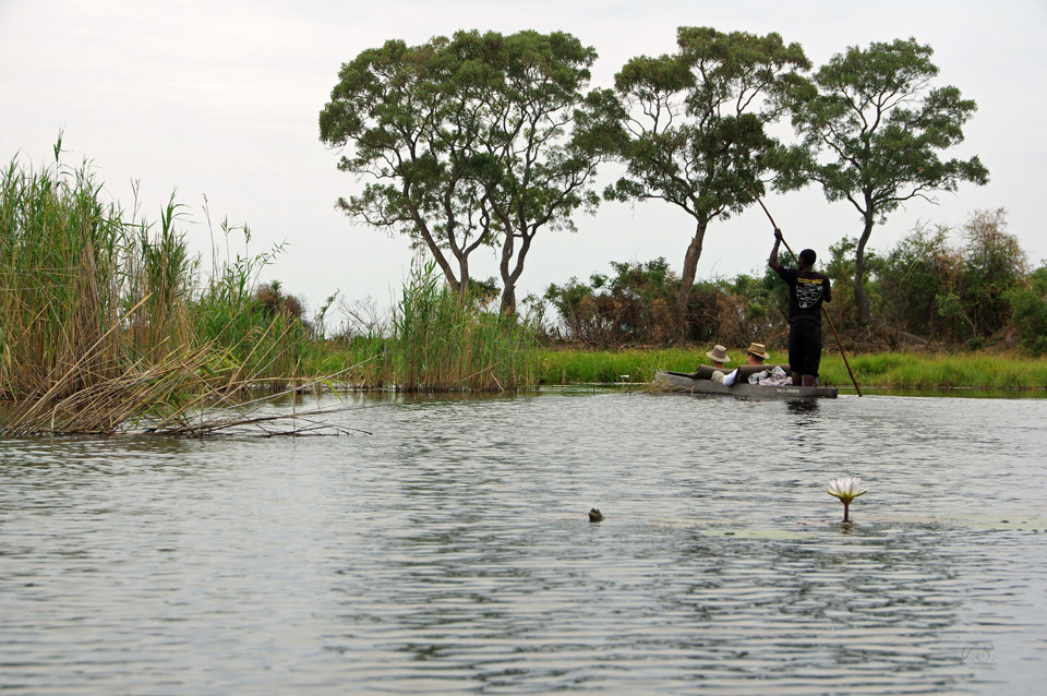 Okavangodelta, unterwegs mit Mokoros