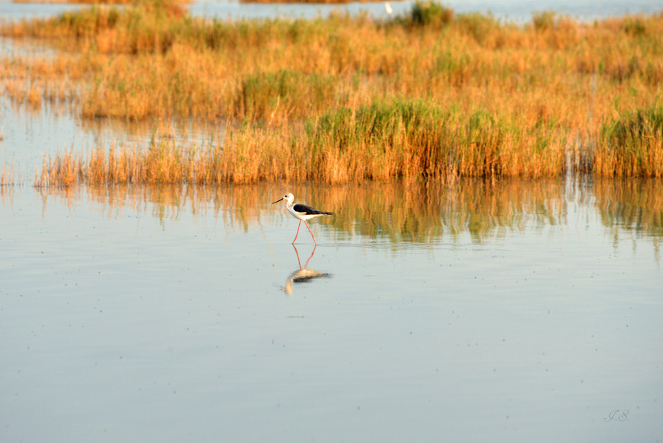  Makgadikgadi-Pfannen 