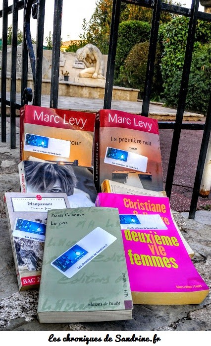 Les chroniques de Sandrine en mode "Bookcrossing" ou comment partager la culture en lâchant des livres dans la nature