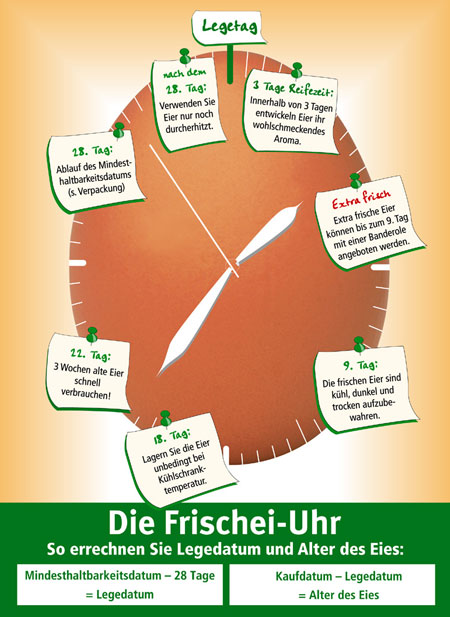 Wissenswertes 