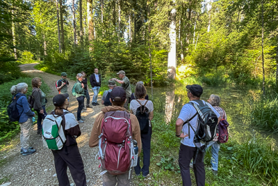 Rückblick Exkursion Waldvernässung und Gfillmoosweiher in Rothrist