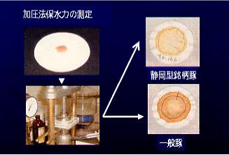 加圧保水力の測定