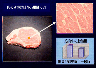 肉のきめが細かい霜降り肉