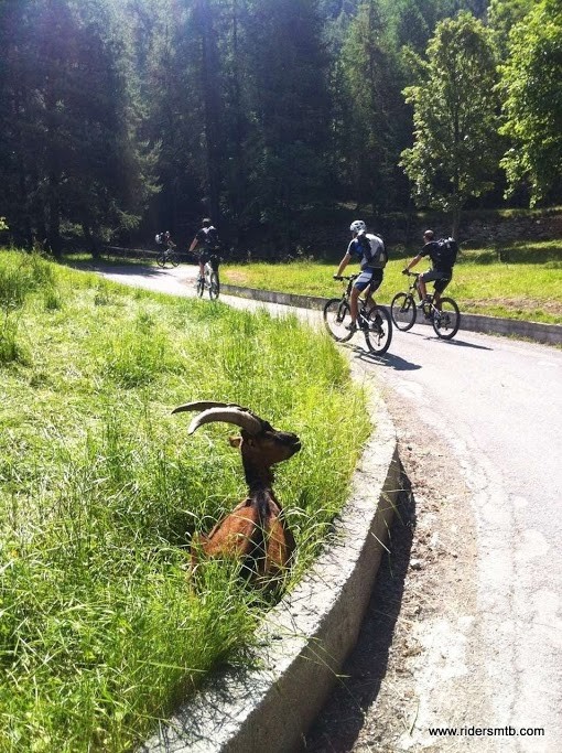 Max chiude la coda...(Max è quello in bici!)...