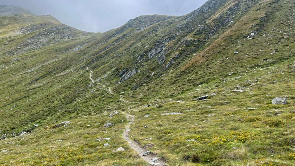 Lassù c’è la cima Coppi odierna, COL DU MILLE, sarà dura da guadagnare… 200 metri di dsl. seguiti da numerose imprecazioni 