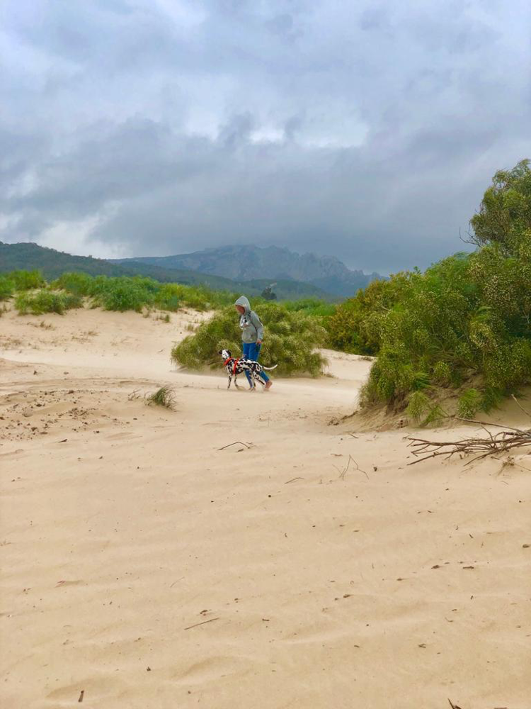 Wolken ☁️ und später sogar Regen 🌧