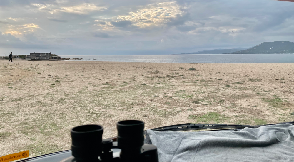 Strandausblick in Propriano