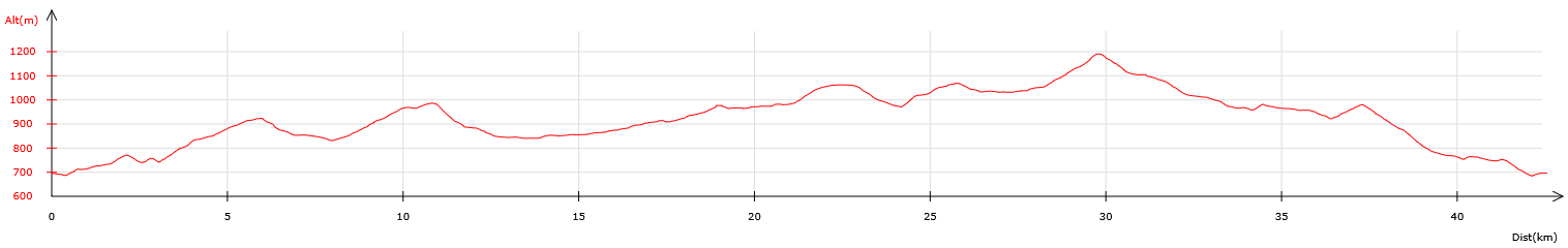 GRAVEL - 40km