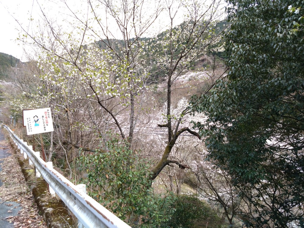 鐘が坂公園