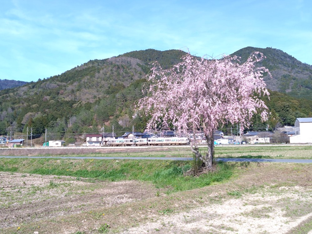 南多田　松下泌尿器の東