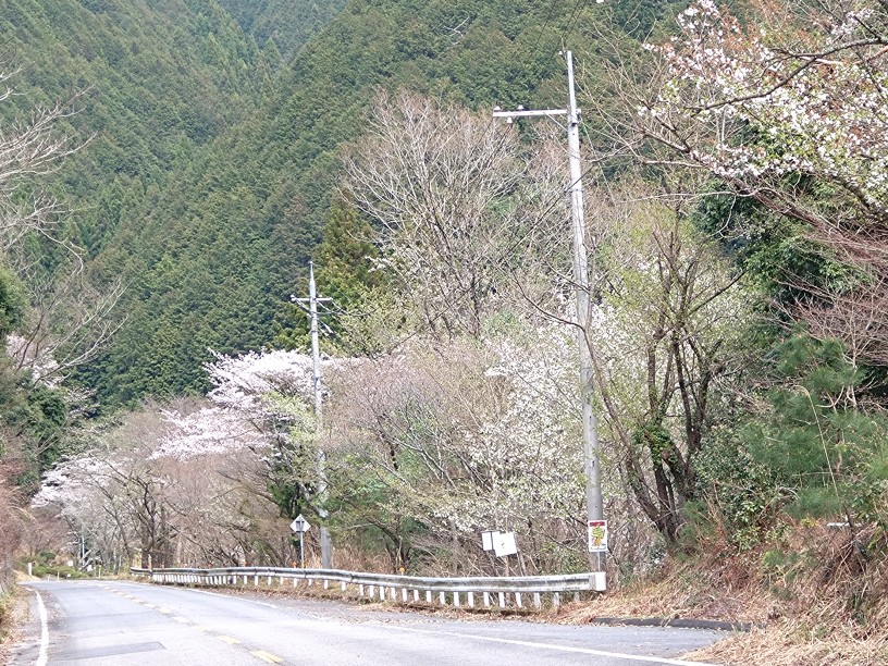 鐘が坂公園