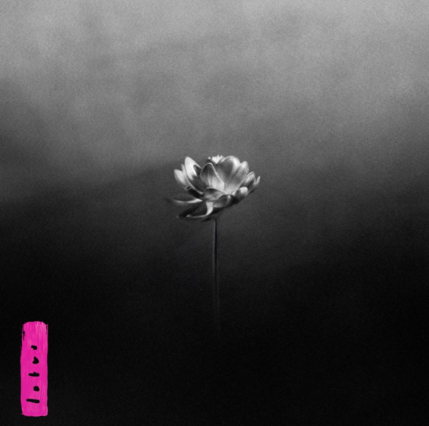 Little Simz "Lotus"
