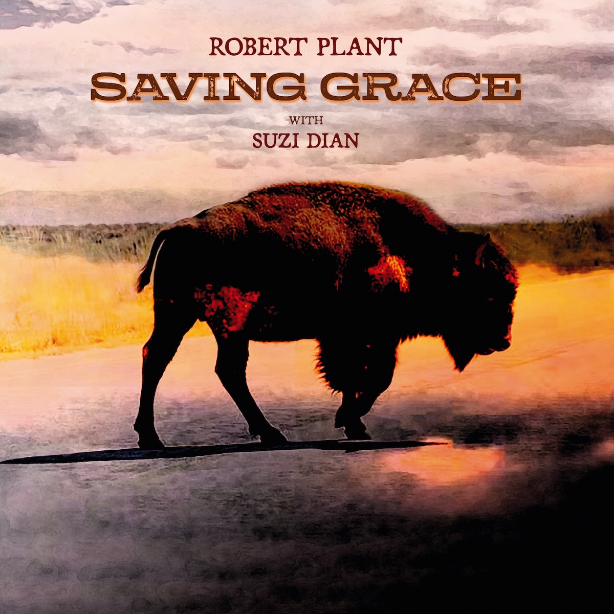 Robert Plant "Saving Grace"