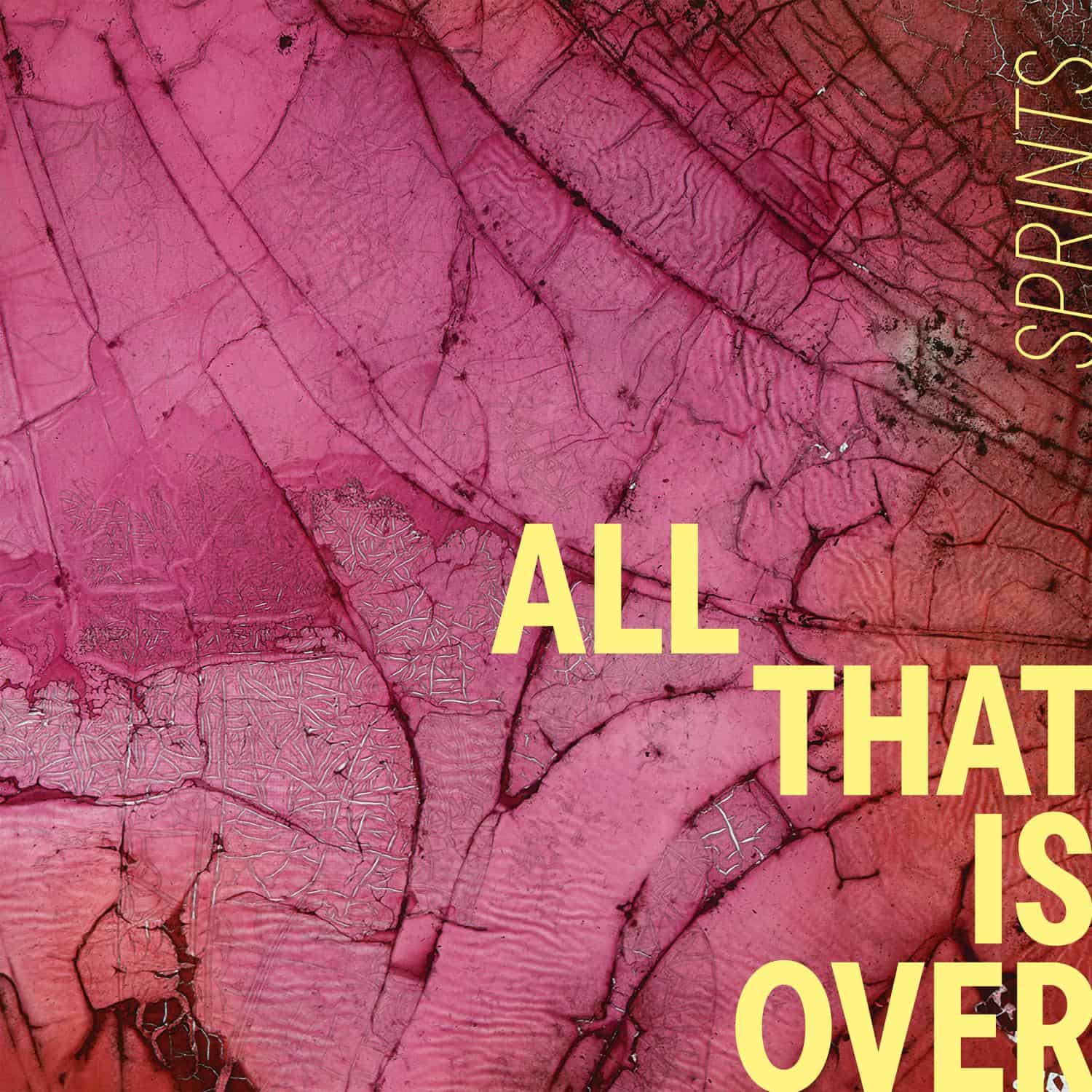 The Sprints "All that is over"