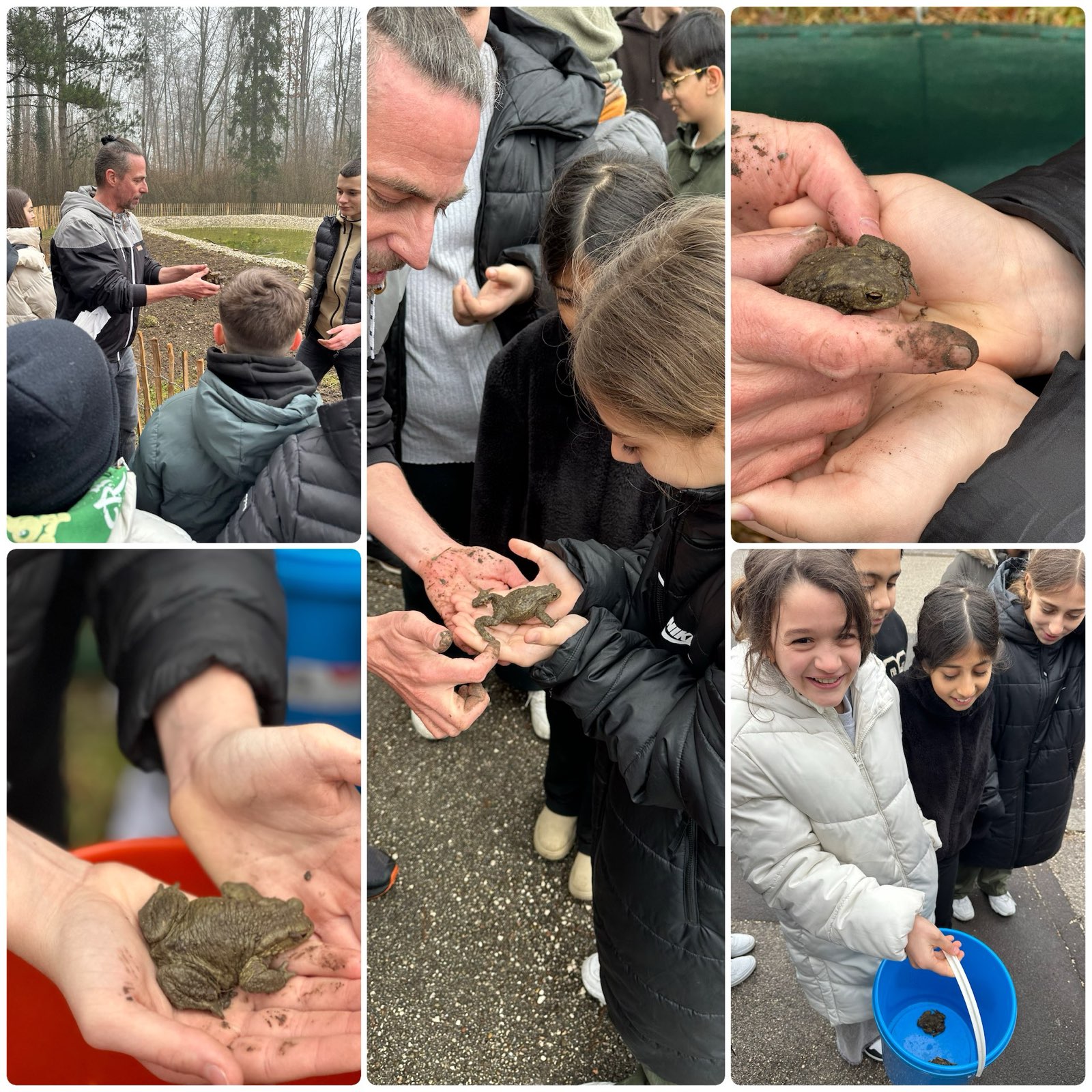 Froschprojekt 4c
