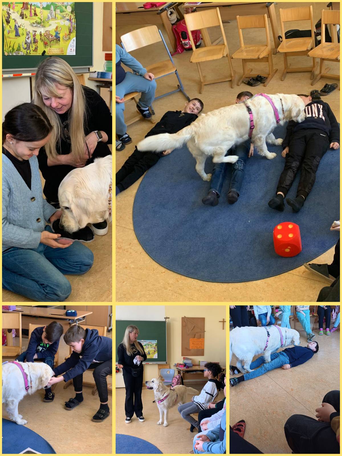 Kindergesundheitstage 3d