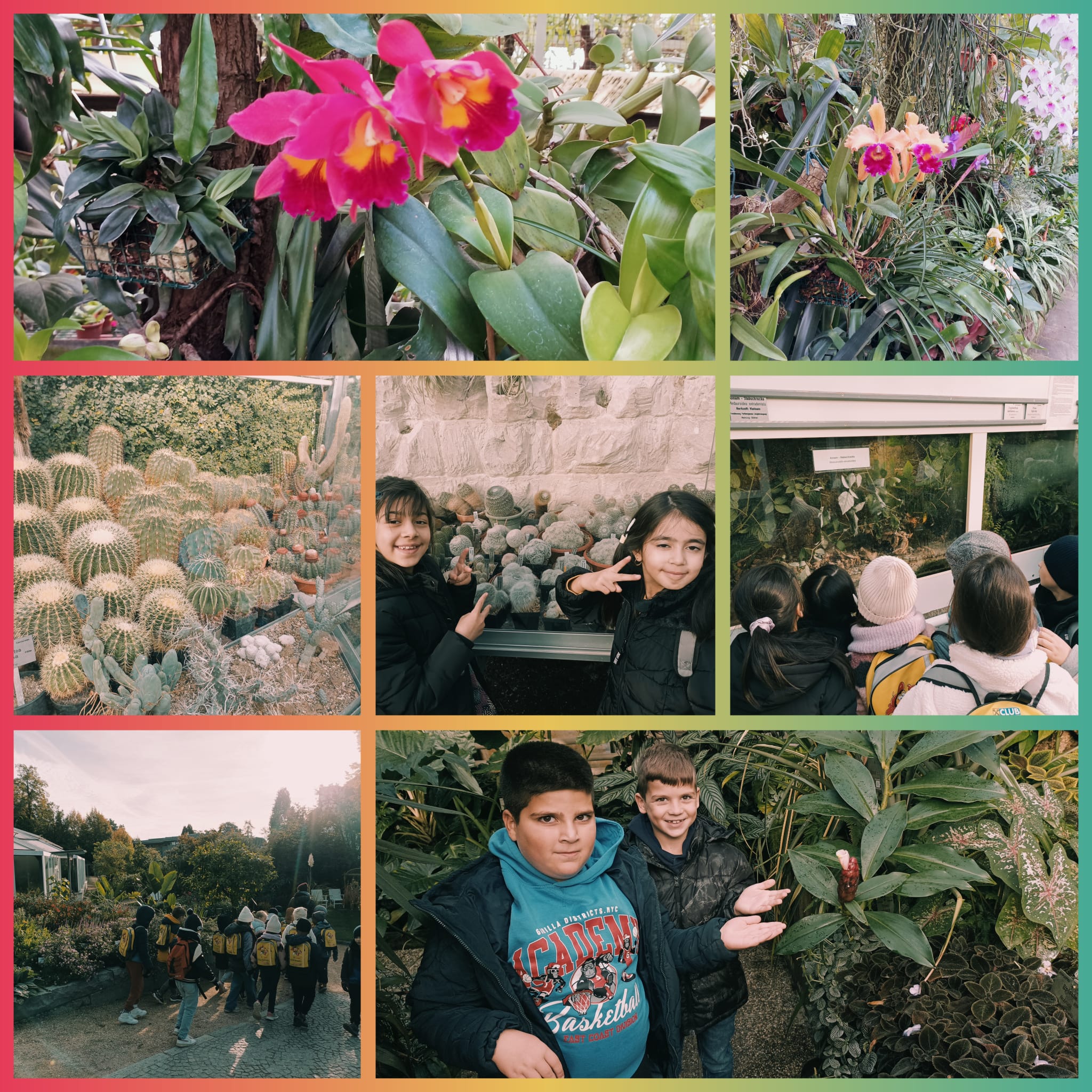 Botanischer Garten Linz (2.d)