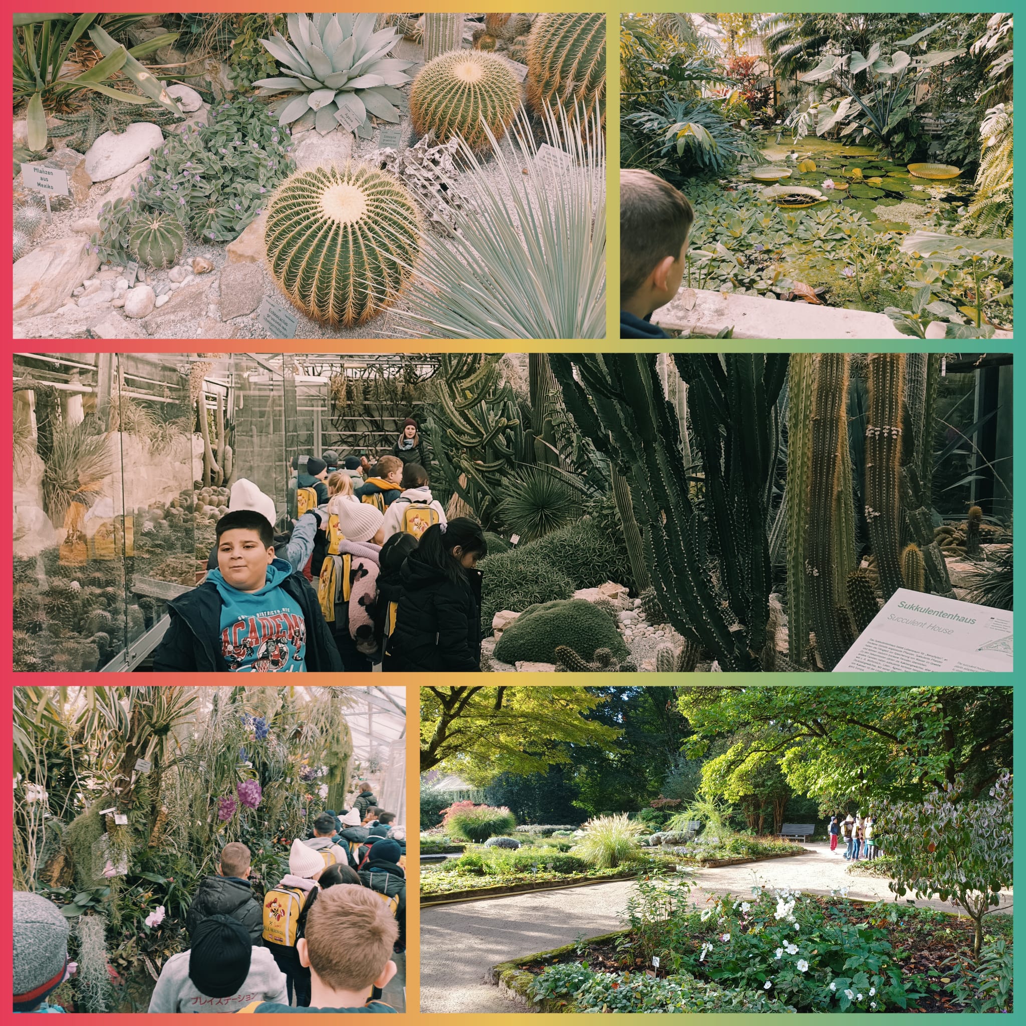 Botanischer Garten Linz (2.d)