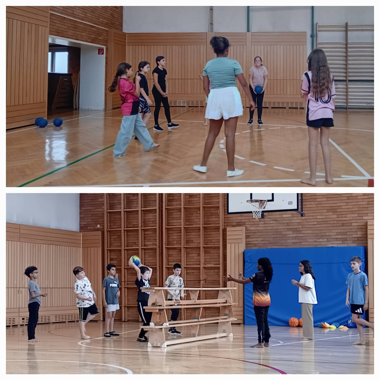 Volley- und Basketball (4.c)