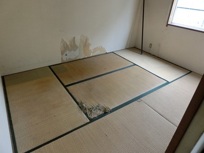 現状回復 和室 畳 壁 穴 ペット