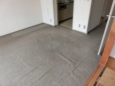 柏 ゴミ屋敷 整理 片付け