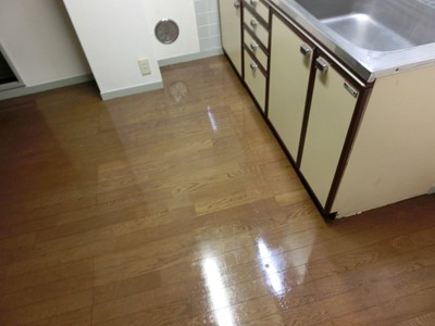 ハウスクリーニング 水回り 窓 ワックス 賃貸 マンション