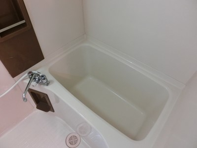 ハウスクリーニング 水回り 窓 ワックス 賃貸 マンション