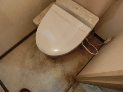  現状回復　トイレ　カルキ　尿石　汚れ　悪臭