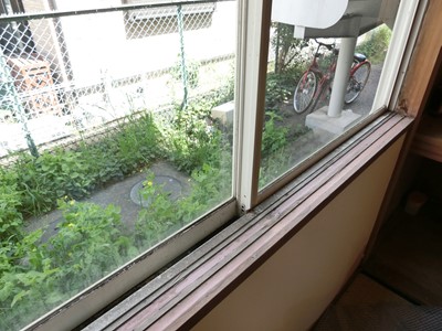 現状回復 和室 畳 壁 穴 ペット