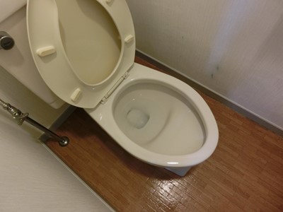 ハウスクリーニング 水回り 窓 ワックス 賃貸 マンション