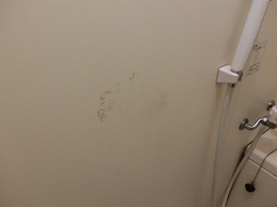 ハウスクリーニング　賃貸　浴室　カビ　黒ずみ　水栓