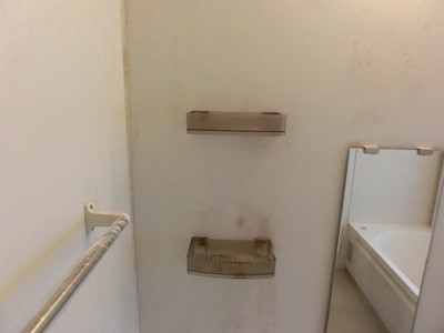 ハウスクリーニング キッチン 浴室 汚い カビ
