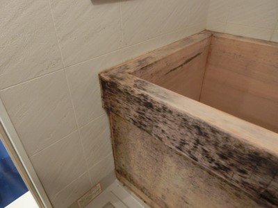 浴槽　ヒノキ　カビ　漂白　白木　黒ズミ