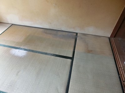現状回復 和室 畳 クロス 障子 襖 カビ