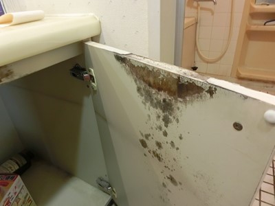 柏 ゴミ屋敷 整理 片付け