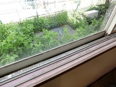 現状回復 和室 畳 壁 穴 ペット