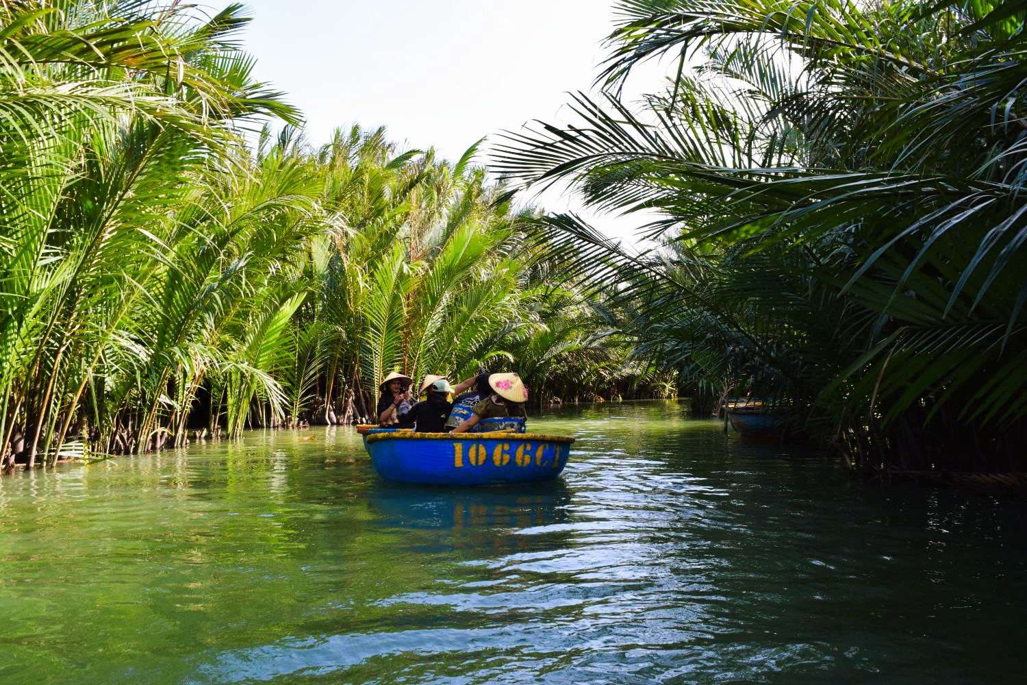 Korbboot fahren im Palmen Wald