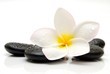 20271963 - spa still life © Adam Ward 