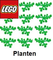 Planten