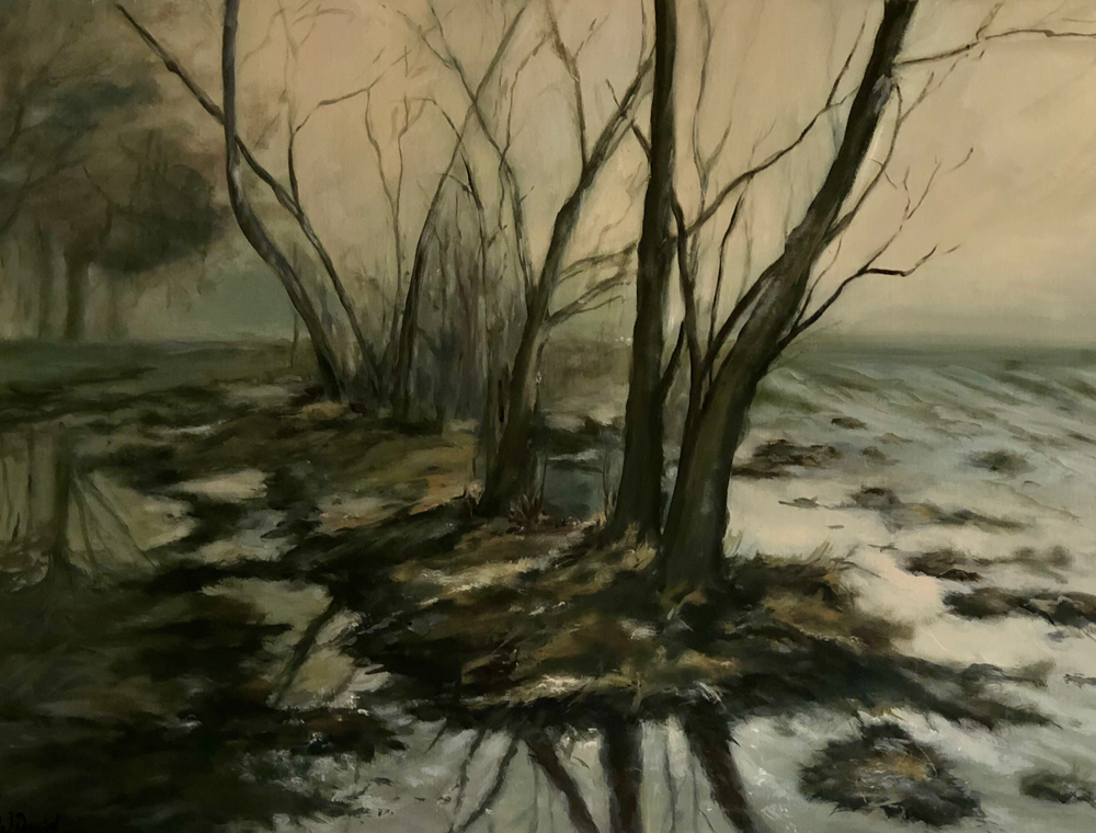 Moorlandschaft 60x80