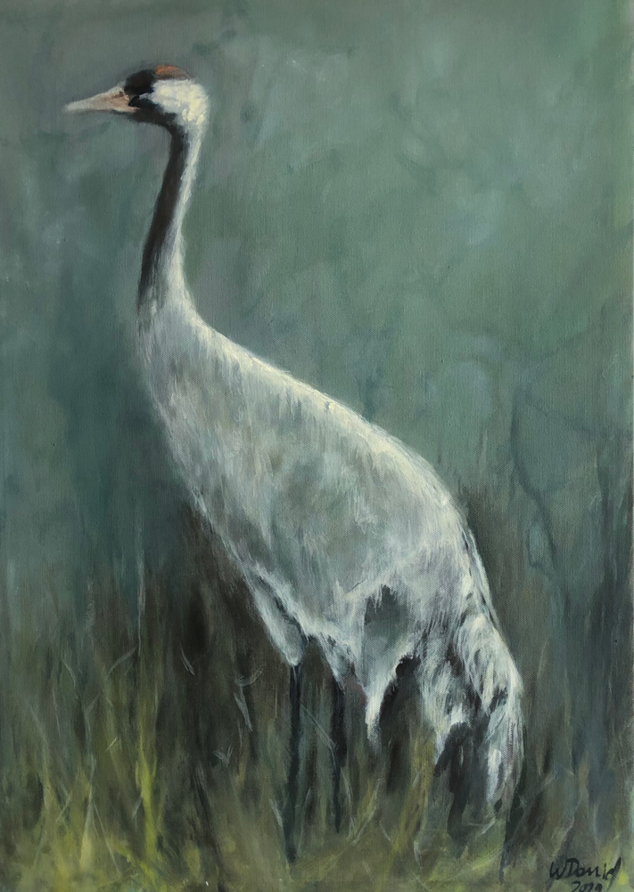 Kranich 70x50