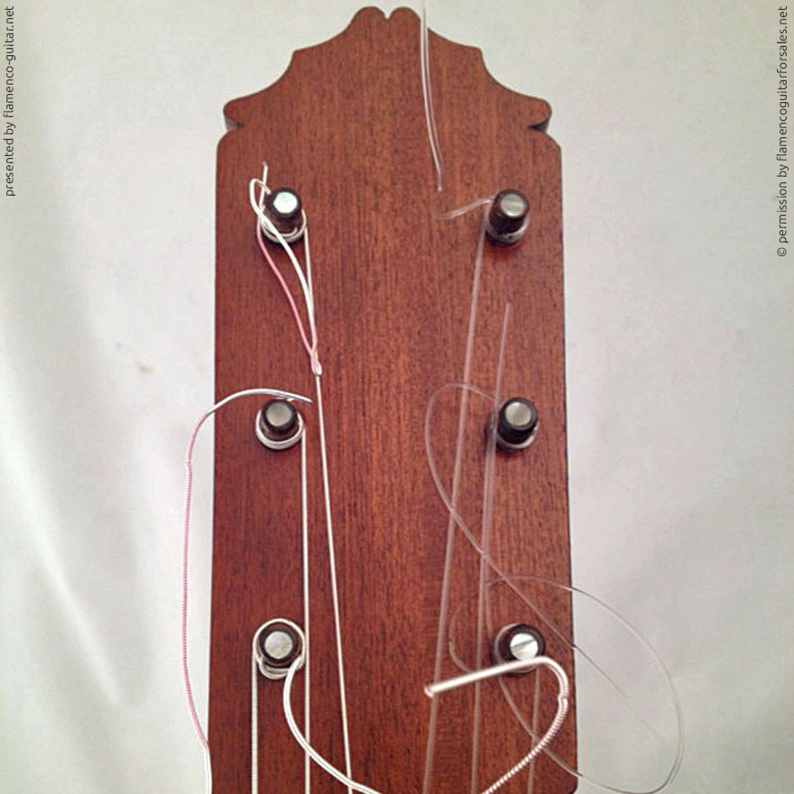 MANUEL REYES | GUITAR  GITARRE | 1962 #2  | HEADSTOCKS | GITARREN-KOPF 