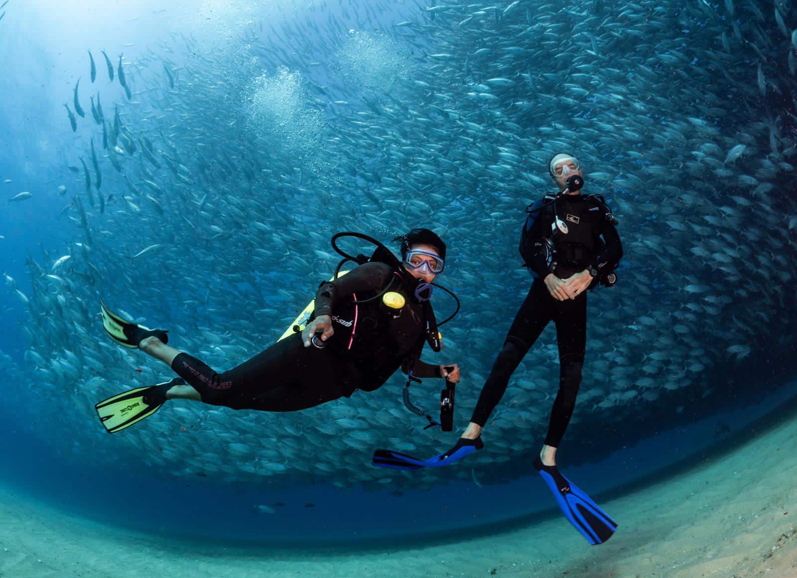www.cabopulmoscubadiving.com