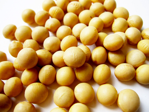 免疫力を高める食べ物　豆類